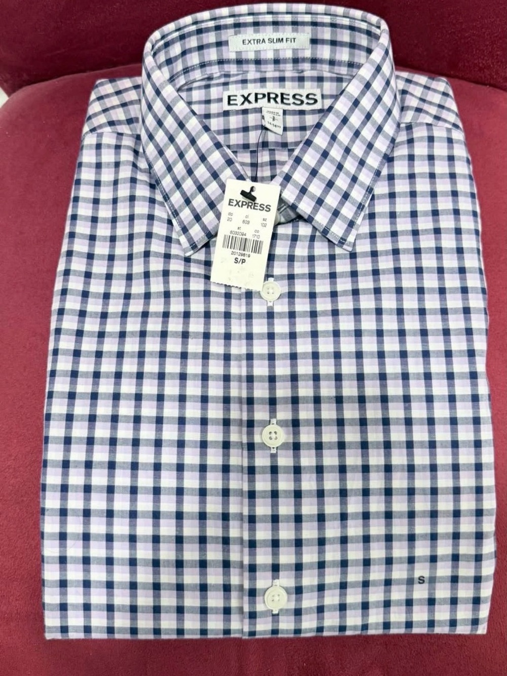 Express Men’s Blue and White Check Dress Shirt